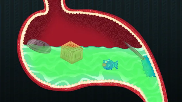 The Uncutest Adventure - Episode 1: Zango and the Dragon